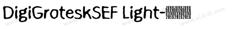 DigiGroteskSEF Light字体转换